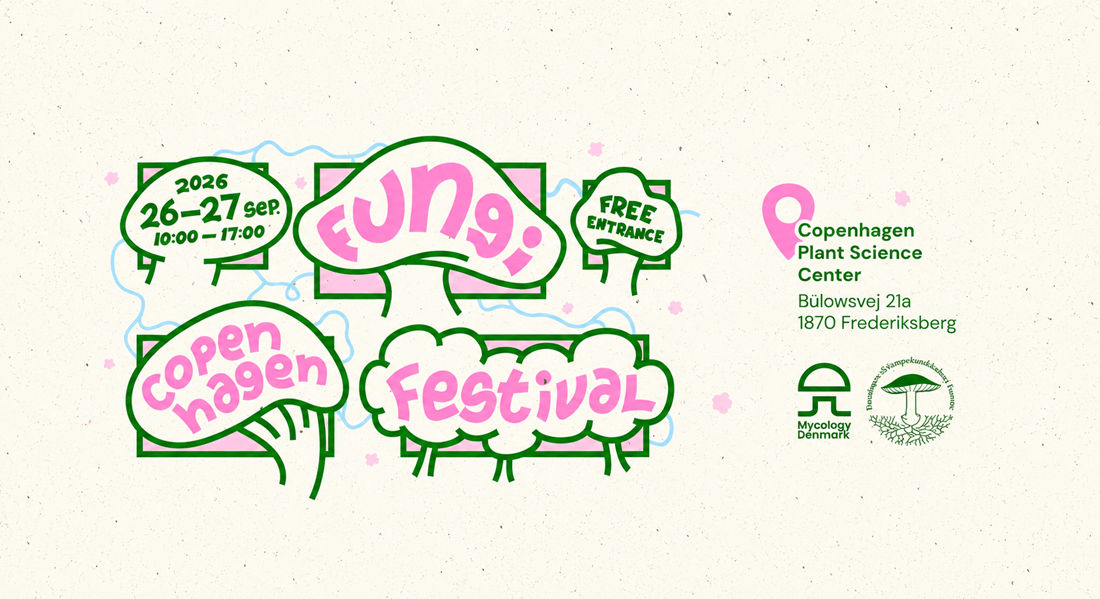 Svampefestival 2026