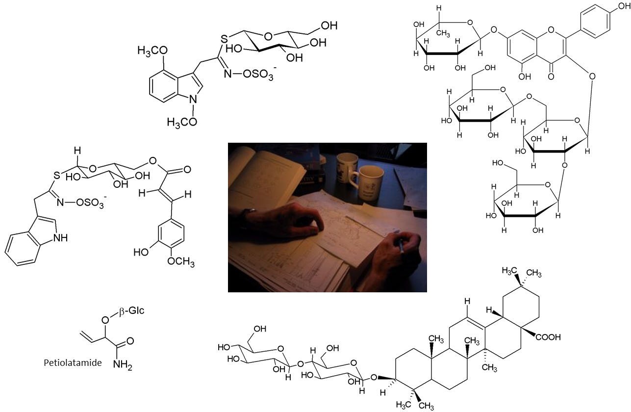 Niels Agerbirk Structure elucidation Structure elucidation