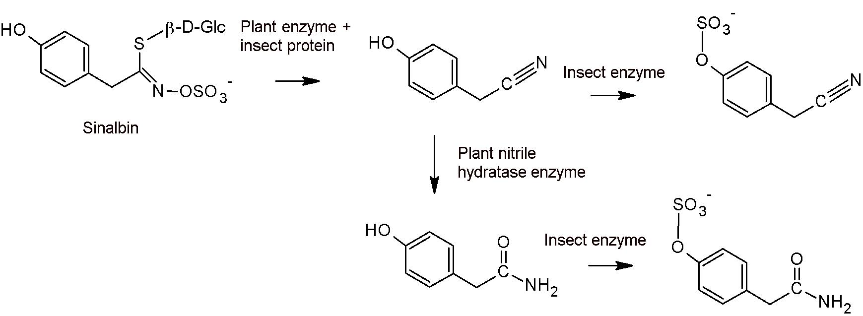 Niels Agerbirk Nitrile hydratase Nitrile hydratase
