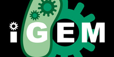 iGEM logo